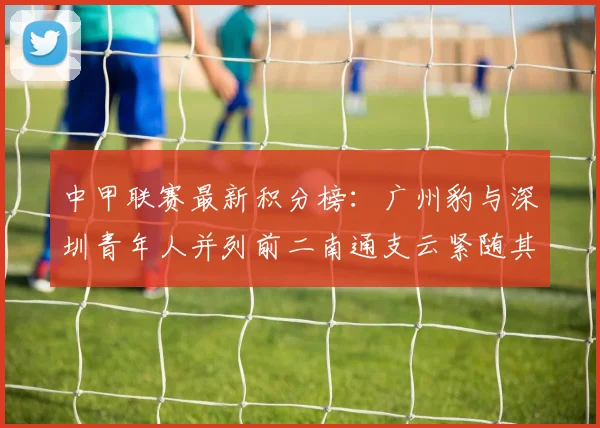 中甲联赛最新积分榜：广州豹与深圳青年人并列前二南通支云紧随其后