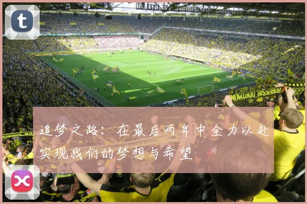 追梦之路：在最后两年中全力以赴实现我们的梦想与希望
