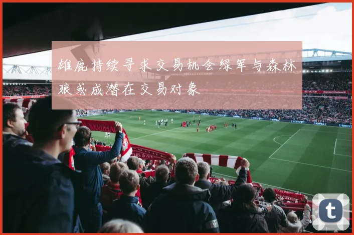 雄鹿持续寻求交易机会绿军与森林狼或成潜在交易对象